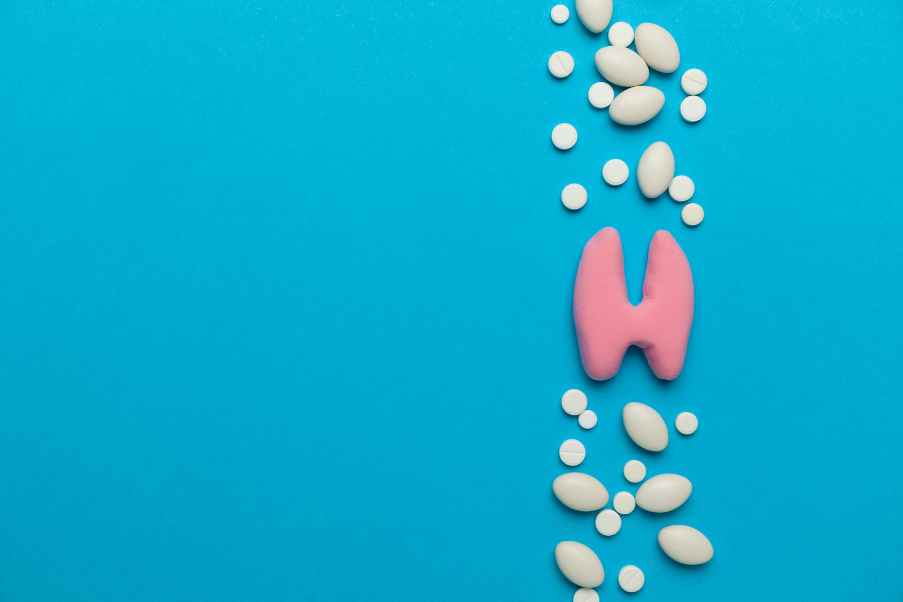 Human thyroid gland on blue background. Treatment and prevention of the endocrine system. Symptoms of the disease and inflammation. Copy space